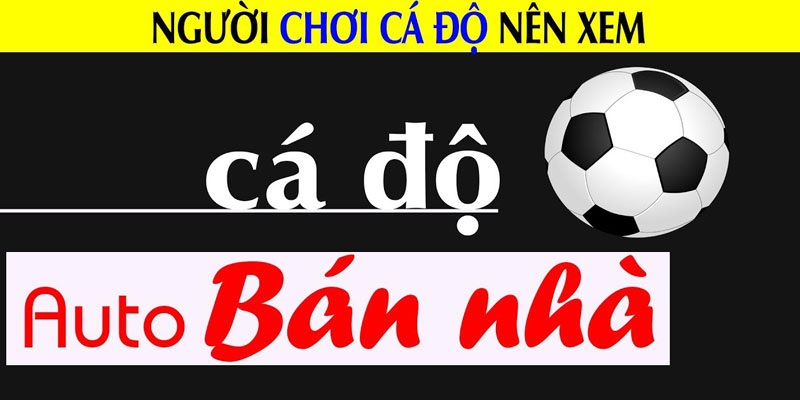 Cá cược thua đá banh dẫn đến nhiều hệ lụy với người chơi