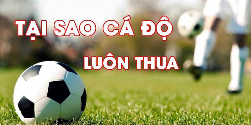 Giải mã trường hợp cá độ bóng đá luôn thua của tân thủ