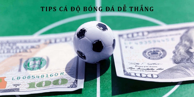 Tips chốt cược đá banh hiệu quả giúp người chơi thắng lớn