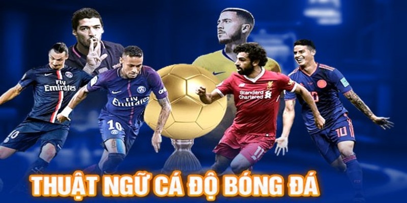 thuật ngữ cá độ bóng đá